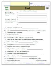 FREE Differentiated Worksheet for EYEWITNESS * - Bird- Episode FREE Differentiated Worksheet / Video Guide