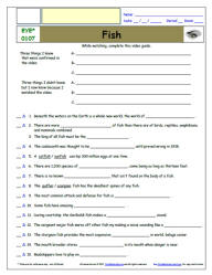FREE Differentiated Worksheet for EYEWITNESS * - Fish - Episode FREE Differentiated Worksheet / Video Guide