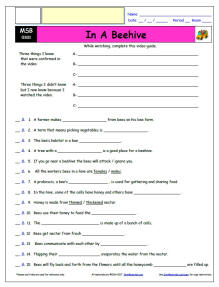 FREE Differentiated Worksheet for the Magic School Bus * - In a Beehive - Episode FREE Differentiated Worksheet / Video Guide