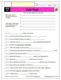 FREE Differentiated Worksheet for the Magic School Bus * - Cold Feet - Episode FREE Differentiated Worksheet / Video Guide