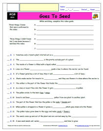 FREE Differentiated Worksheet for the Magic School Bus * - Goes to Seed - Episode FREE Differentiated Worksheet / Video Guide