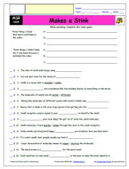 FREE Differentiated Worksheet for the Magic School Bus * - Makes a Stink - Episode FREE Differentiated Worksheet / Video Guide