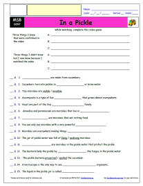 FREE Differentiated Worksheet for the Magic School Bus * - In a Pickle - Episode FREE Differentiated Worksheet / Video Guide