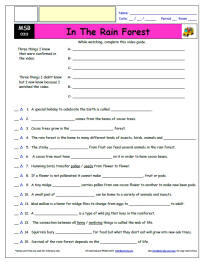 FREE Differentiated Worksheet for the Magic School Bus * - In The Rain Forest - Episode FREE Differentiated Worksheet / Video Guide