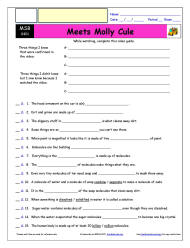 FREE Differentiated Worksheet for the Magic School Bus * - Meets Molly Cule - Episode FREE Differentiated Worksheet / Video Guide