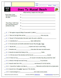 FREE Differentiated Worksheet for the Magic School Bus * - Goes To Mussel Beach - Episode FREE Differentiated Worksheet / Video Guide